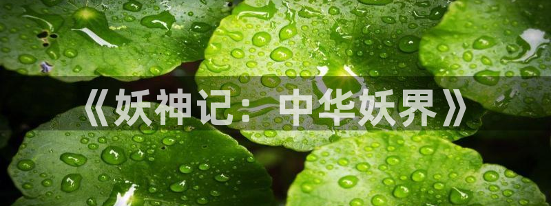 动漫岛安卓：《妖神记：中华妖界》