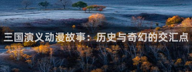动漫岛最新版：三国演义动漫故事：历史与奇幻的交汇点